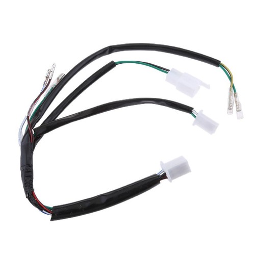 Electric wiring harness - electric, loom