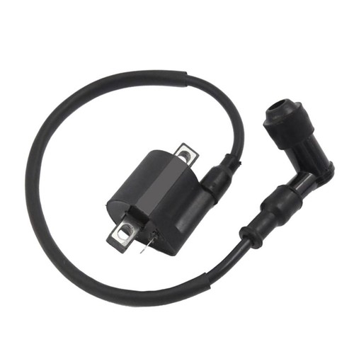 Ignition coil for - ignition,